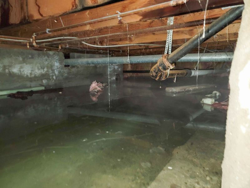 Basement Restoration Service in Phoenix, AZ