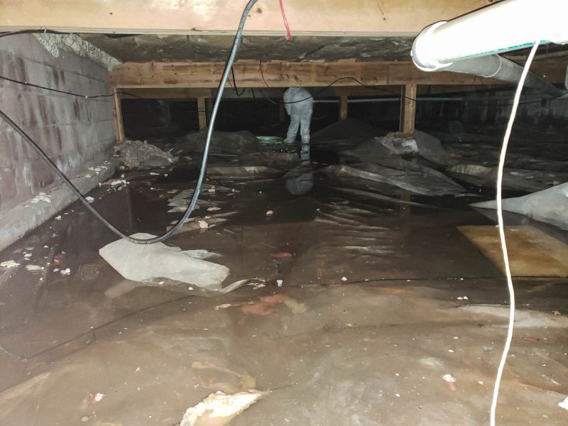 Basement Water Cleanup in Phoenix, AZ