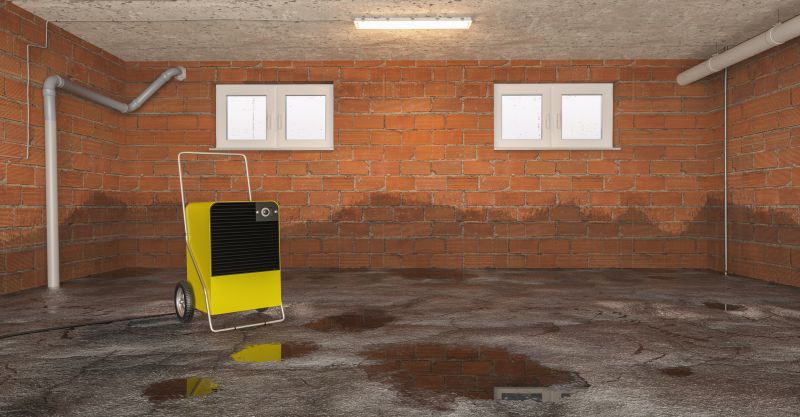 Basement Water Cleanup in Phoenix, AZ