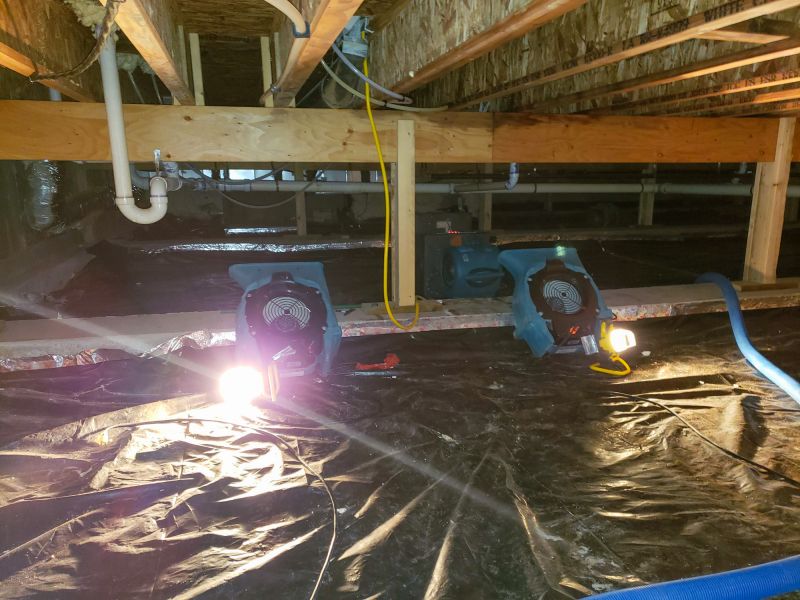 Water Removal Service in Mesa, AZ